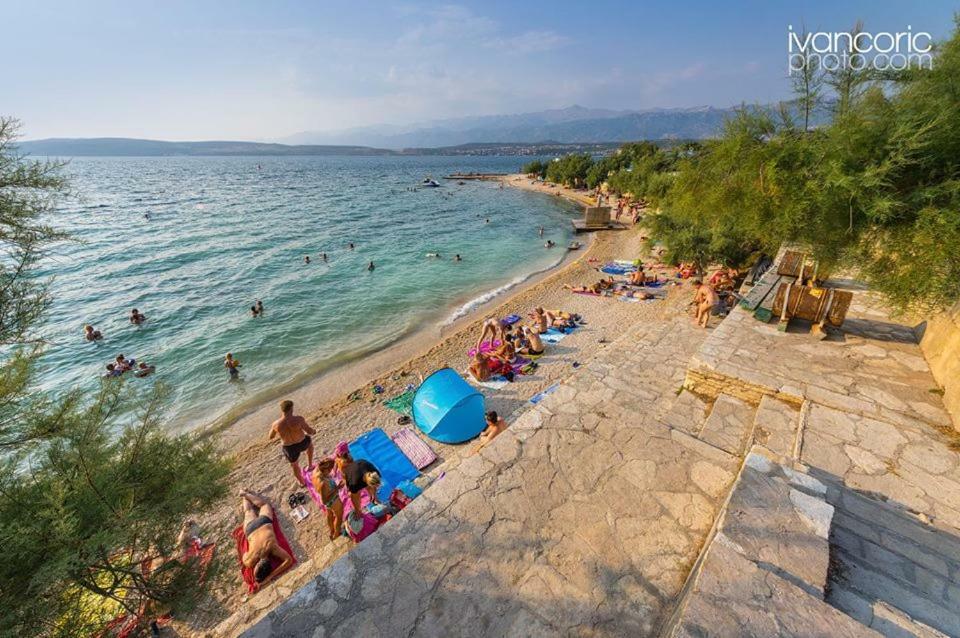 Apartments Carpe Diem Novigrad  Екстер'єр фото